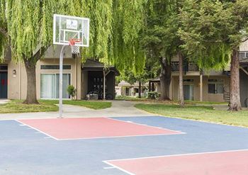 Basketball court